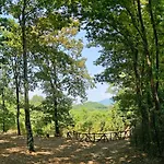 Casa Del Pavone - Capometa * Marzano Appio