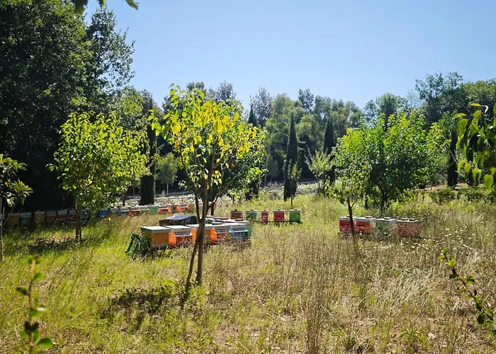 Casa Del Pavone - Capometa Appartement